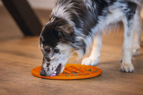 Beeztees LickMat Sunflower nuolumatto oranssi 30cm