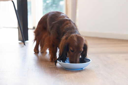 Beeztees LickMat Dish nuolumatto vaaleansininen 19cm