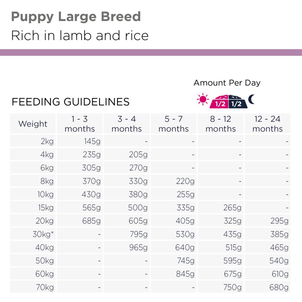 Eukanuba Puppy Large Lamb & Rice koiran kuivaruoka 12 kg