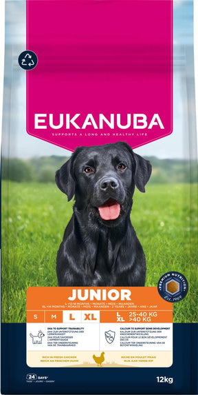 Eukanuba Junior Large Breed Chicken koiran kuivaruoka 12 kg