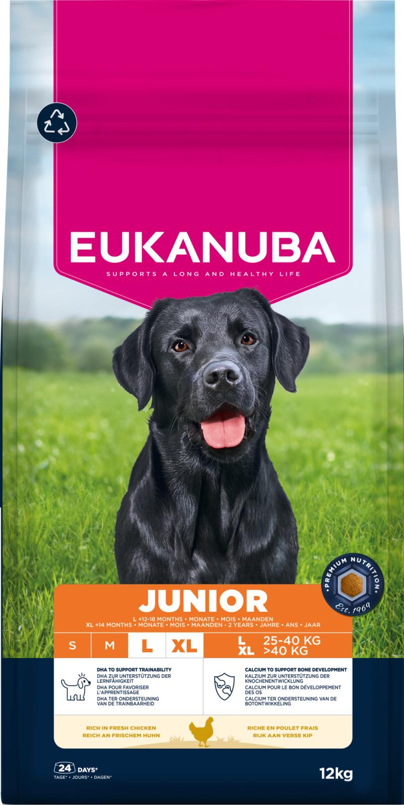 Eukanuba Junior Large Breed Chicken koiran kuivaruoka 12 kg
