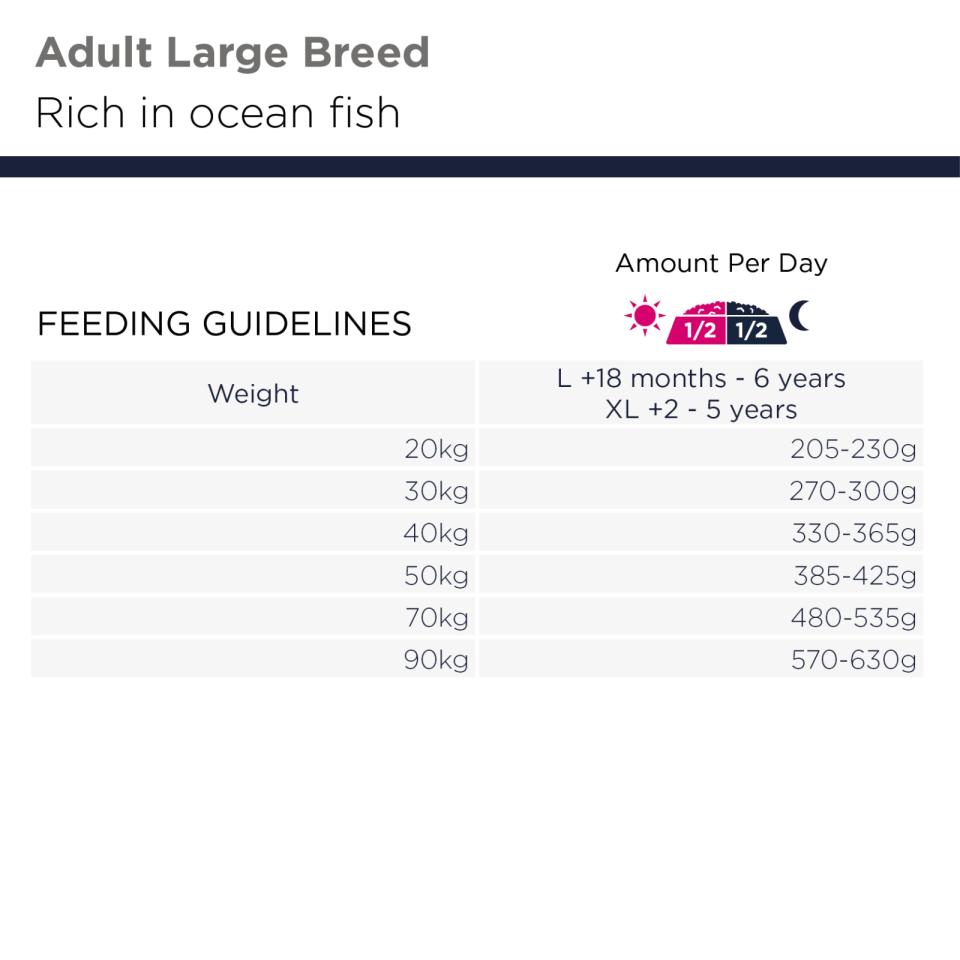 Eukanuba Adult Large Grain Free Ocean Fish koiran kuivaruoka 12 kg