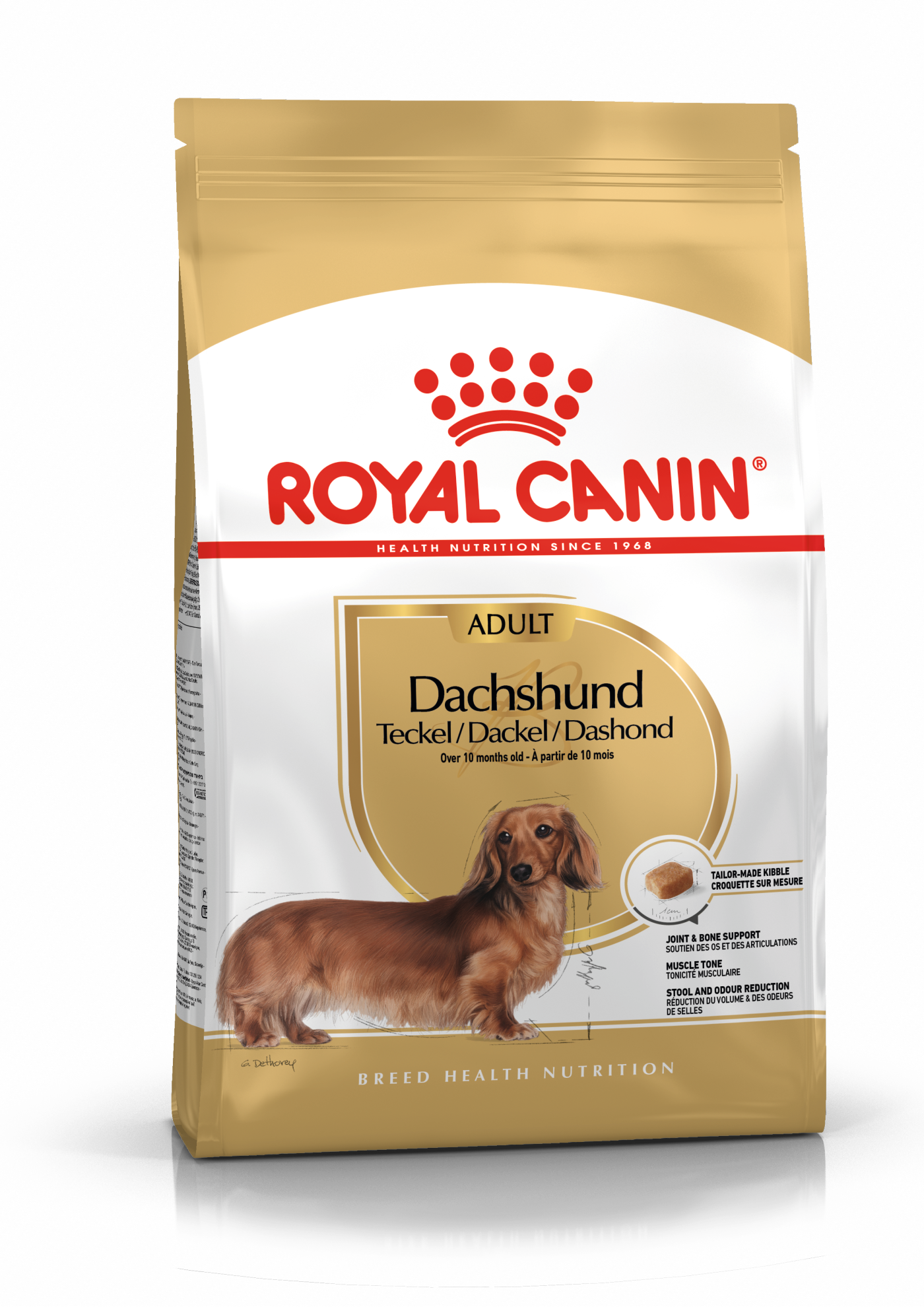 Royal Canin Dachshund Adult koiralle