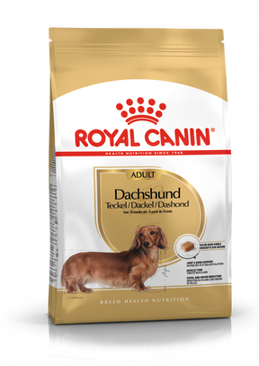 Royal Canin Dachshund Adult koiralle