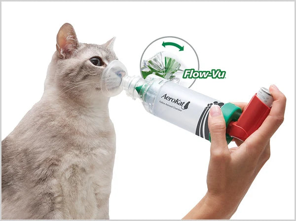 AeroKat-inhalaatiolaite kissalle