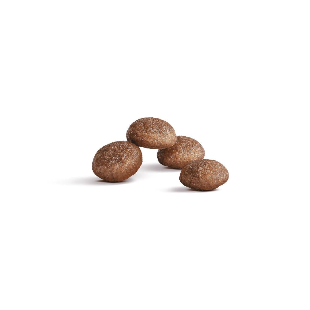 Royal Canin Ageing 11+ kissan kuivaruoka