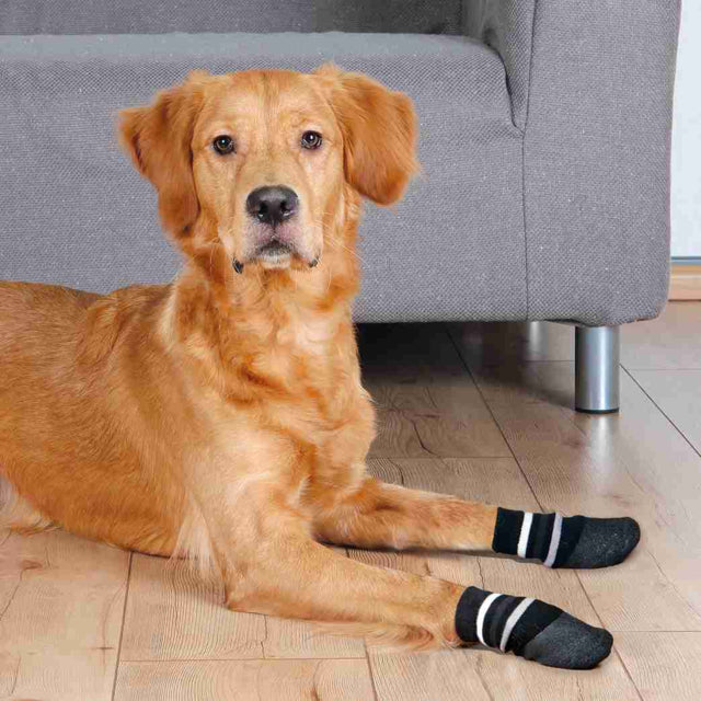 Trixie Anti-slip sukat koiralle