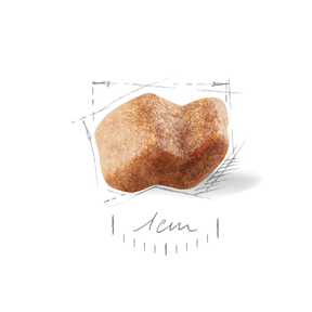 Royal Canin Boxer Puppy koiralle 12 kg