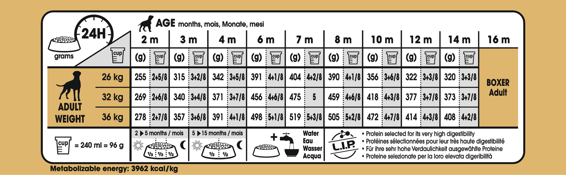 Royal Canin Boxer Puppy koiralle 12 kg