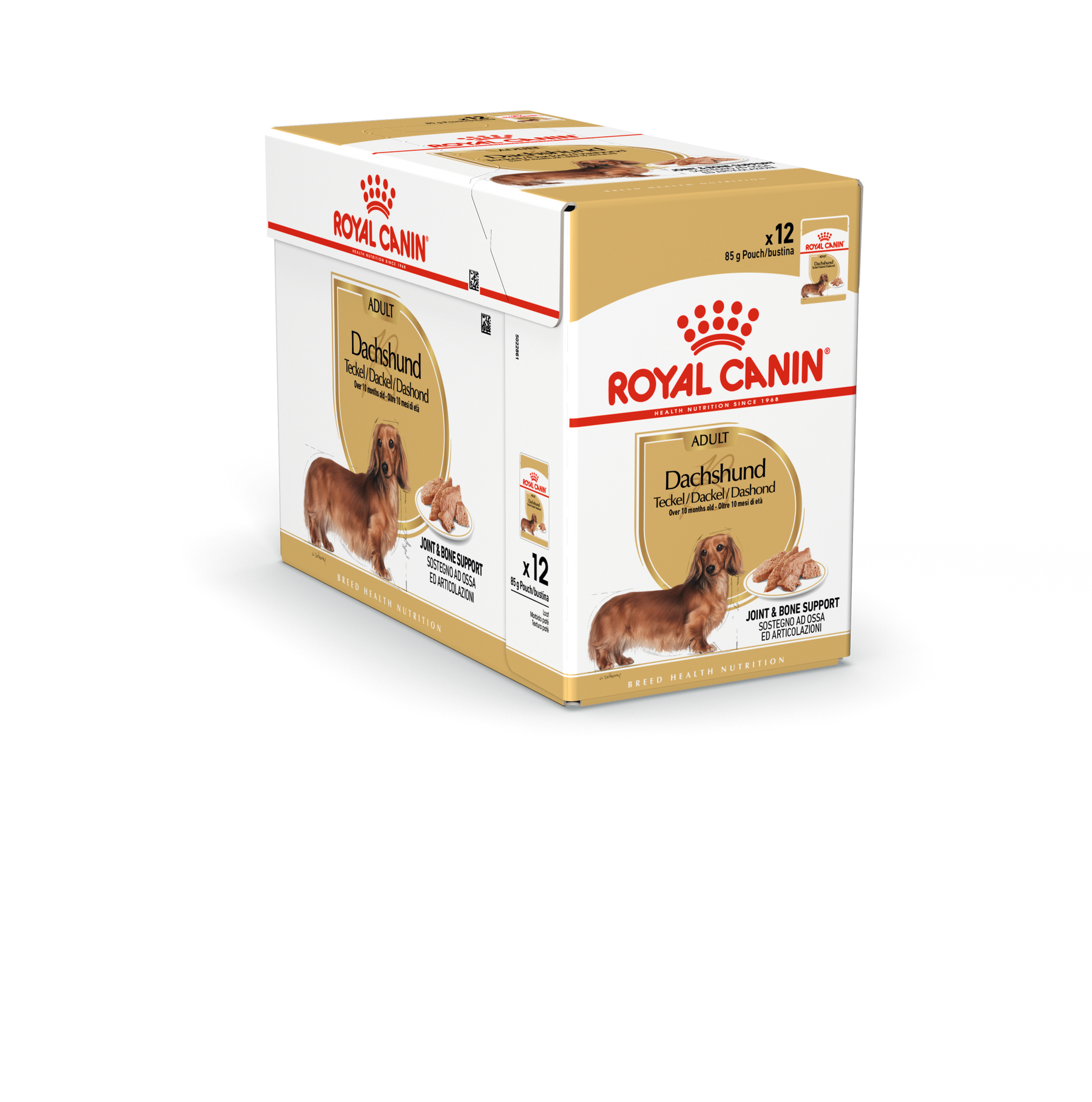 Royal Canin Dachshund Adult koiralle 12 x 85 g