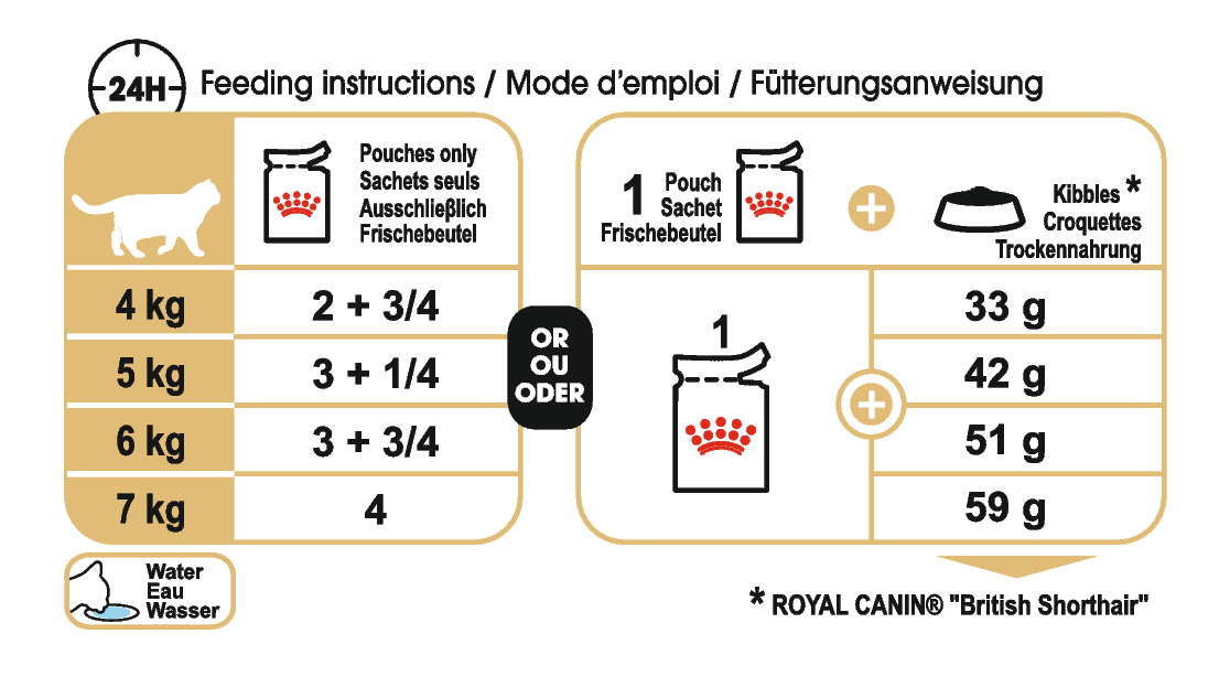Royal Canin British Shorthair Adult kissalle 12 x 85 g