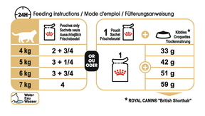 Royal Canin British Shorthair Adult kissalle 12 x 85 g