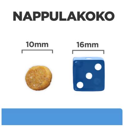 Hill's d/d Food Sensitivities with Duck & Rice koiralle 12 kg