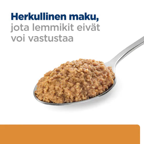 Hill's k/d Kidney Care koiralle 12 x 350 g