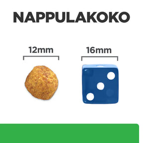 Hill's r/d Weight Loss with Chicken koiralle