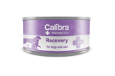 Calibra Veterinary Diet Dog & Cat Recovery märkäruoka koiralle ja kissalle 100 g MAISTELUPAKKAUS
