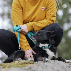 Hurtta Casual heijastintalutin Eco