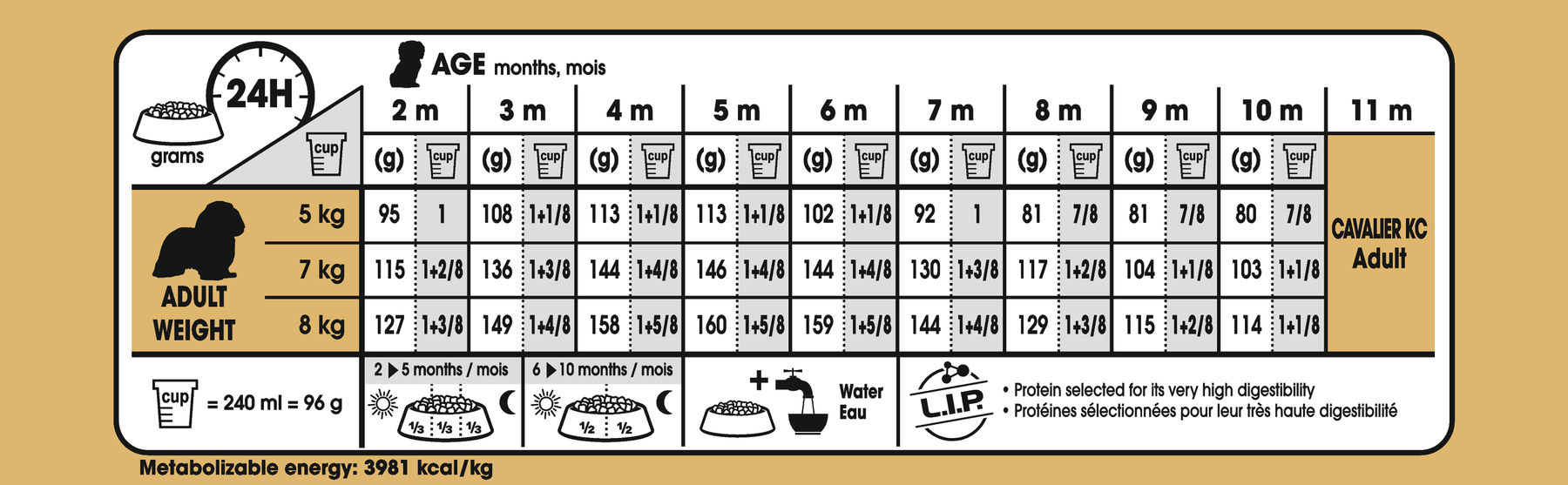 Royal Canin Cavalier King Charles Puppy koiralle 1,5kg