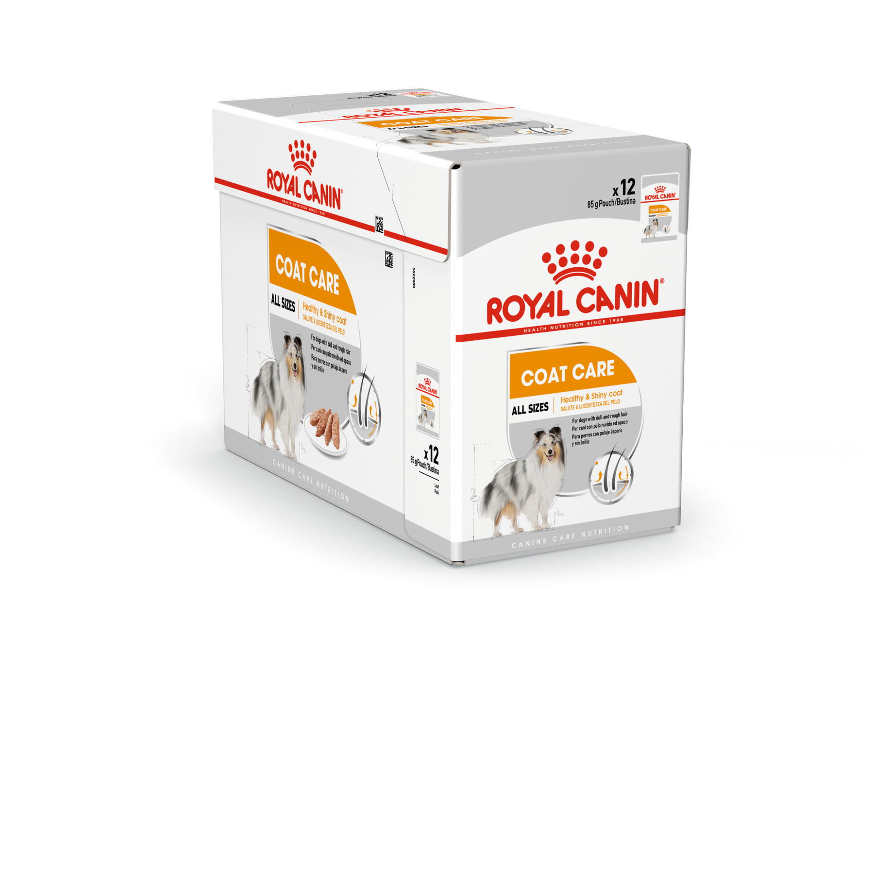 Royal Canin Coat Care koiralle 12 x 85 g