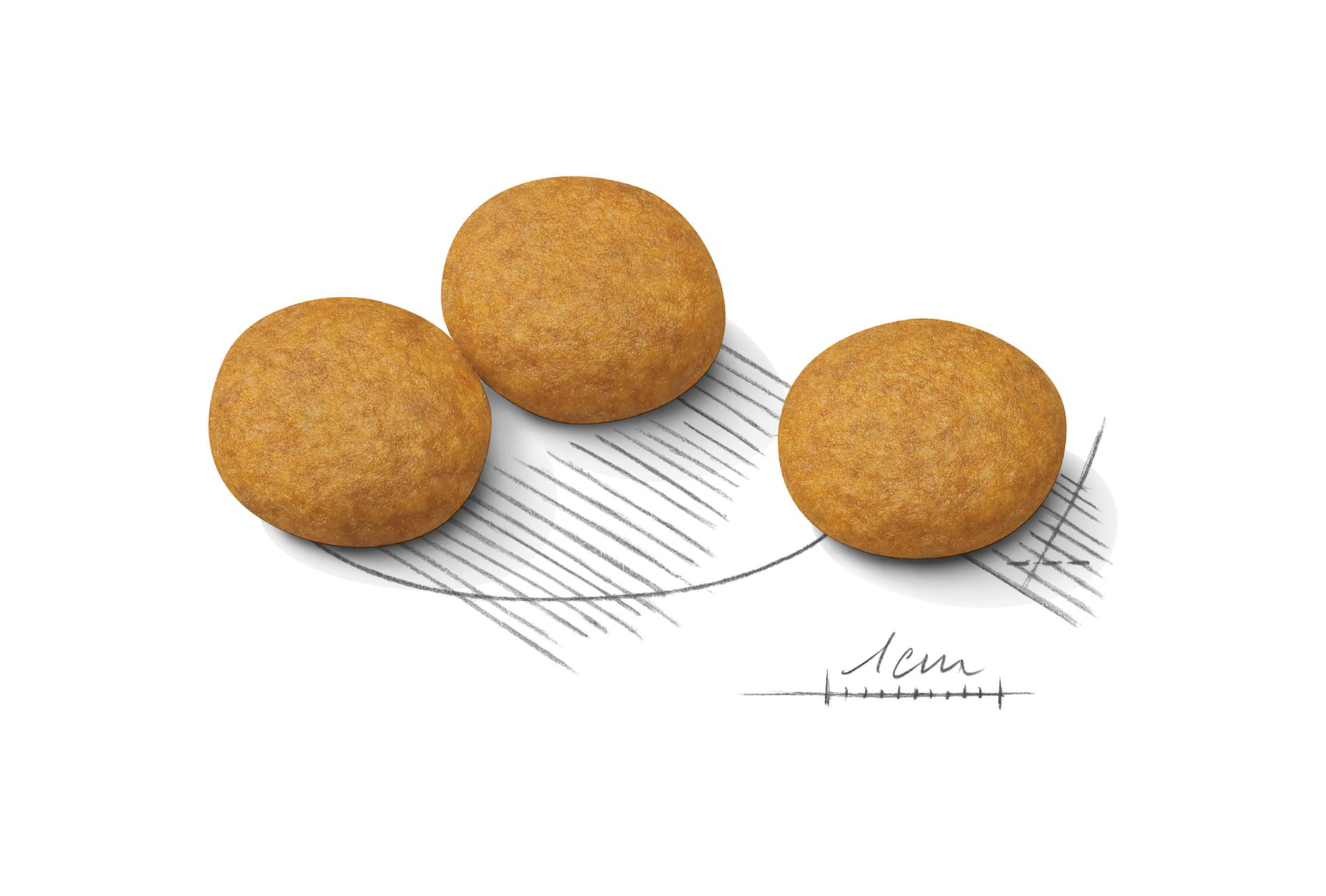 Royal Canin Dermacomfort Maxi koiralle 12 kg