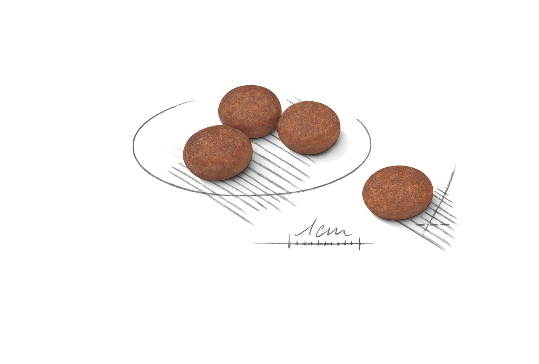 Royal Canin Digestive Care Mini koiralle 8 kg