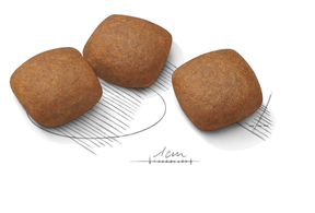 Royal Canin Joint Care Maxi koiralle 10 kg