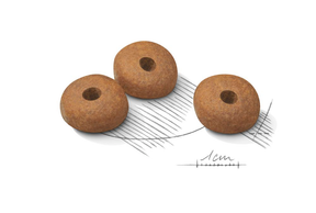 Royal Canin Light Weight Care Medium koiralle 3 kg