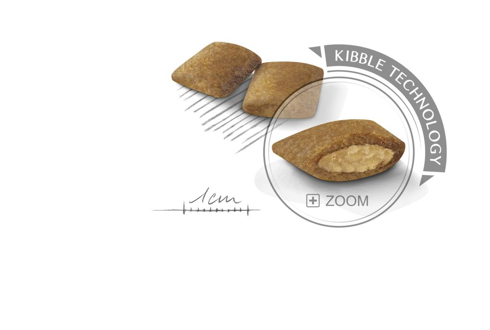 Royal Canin Exigent Mini koiralle