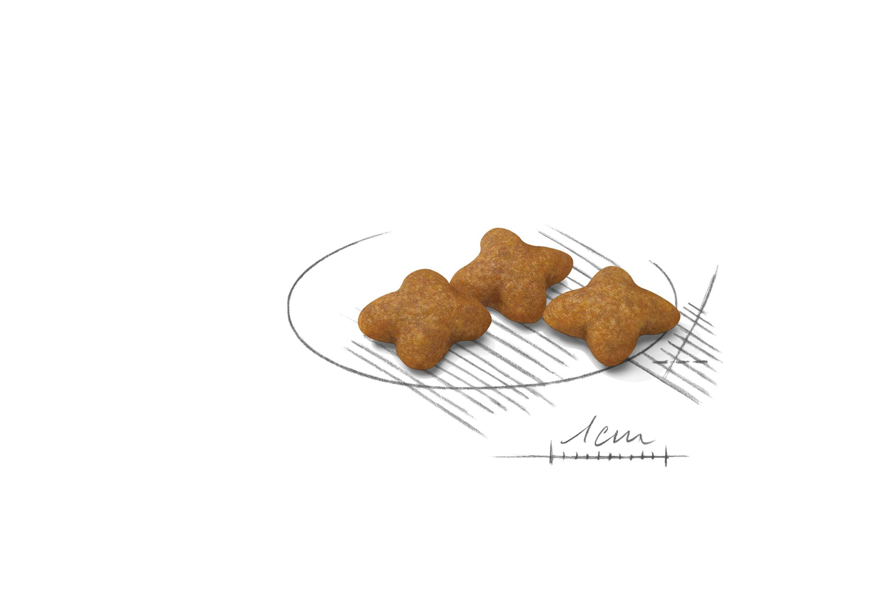 Royal Canin Sterilised X-Small koiralle 1,5 kg