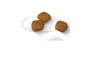 Royal Canin Urinary Care Mini koiralle