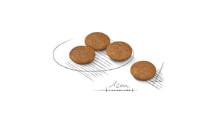 Royal Canin Light Weight Care X-Small koiralle 1,5 kg