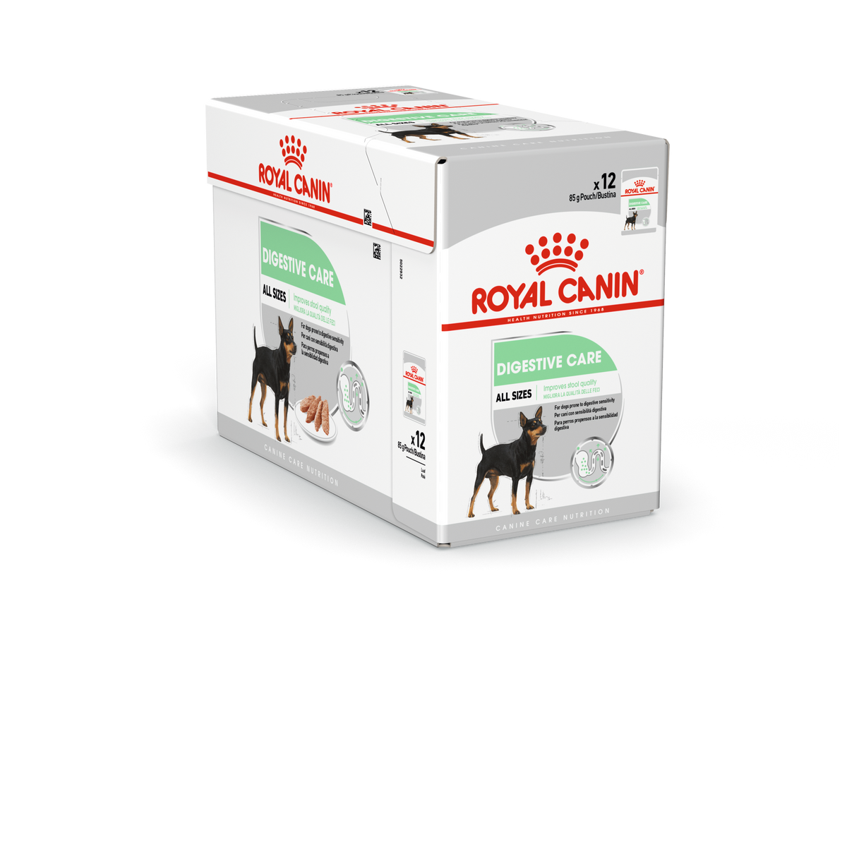 Royal Canin Digestive Care koiralle 12 x 85 g