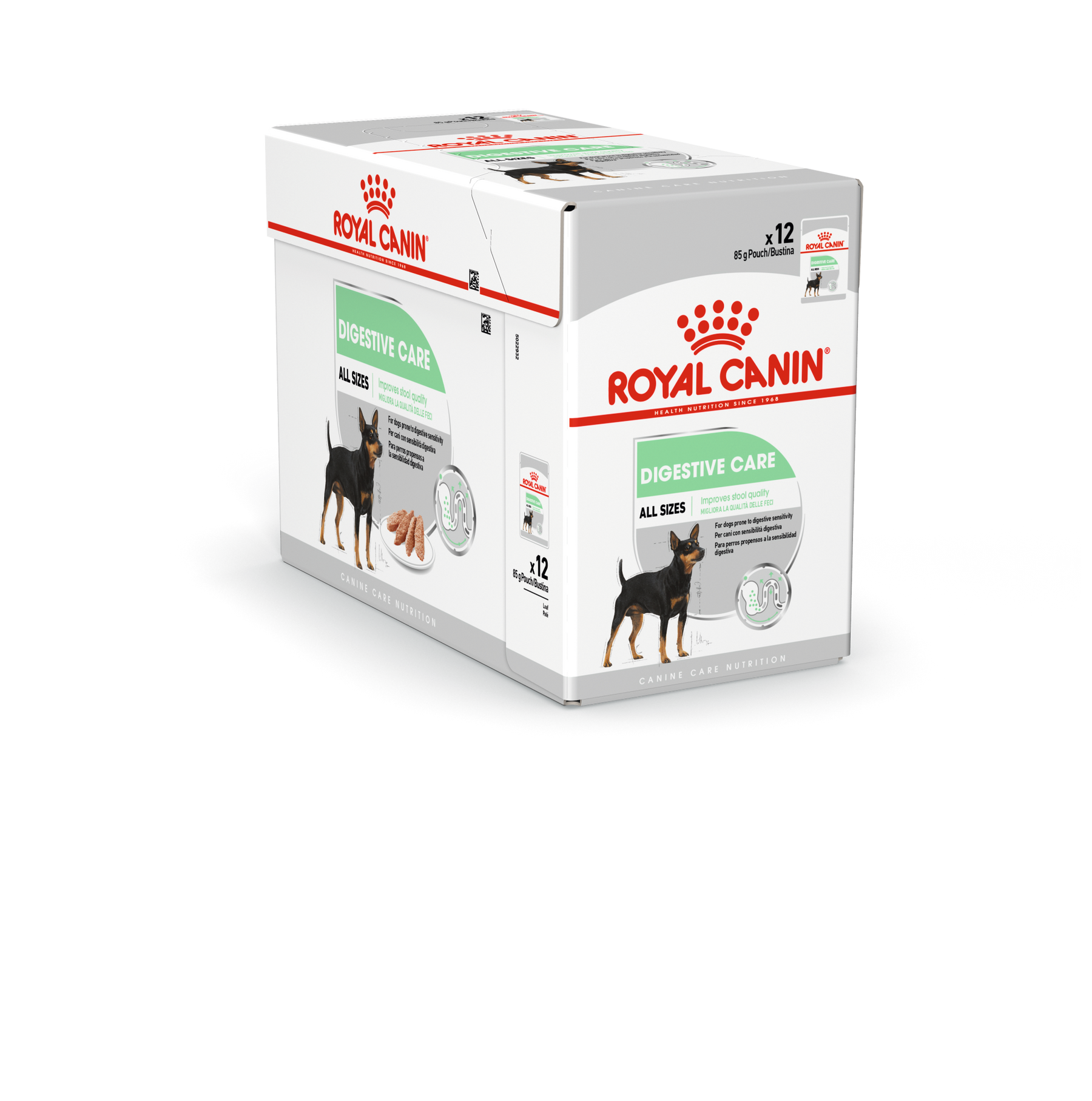 Royal Canin Digestive Care koiralle 12 x 85 g