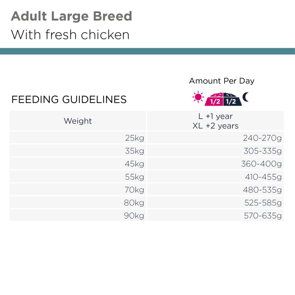 Eukanuba Everyday Adult Large koiran kuivaruoka 16,5 kg