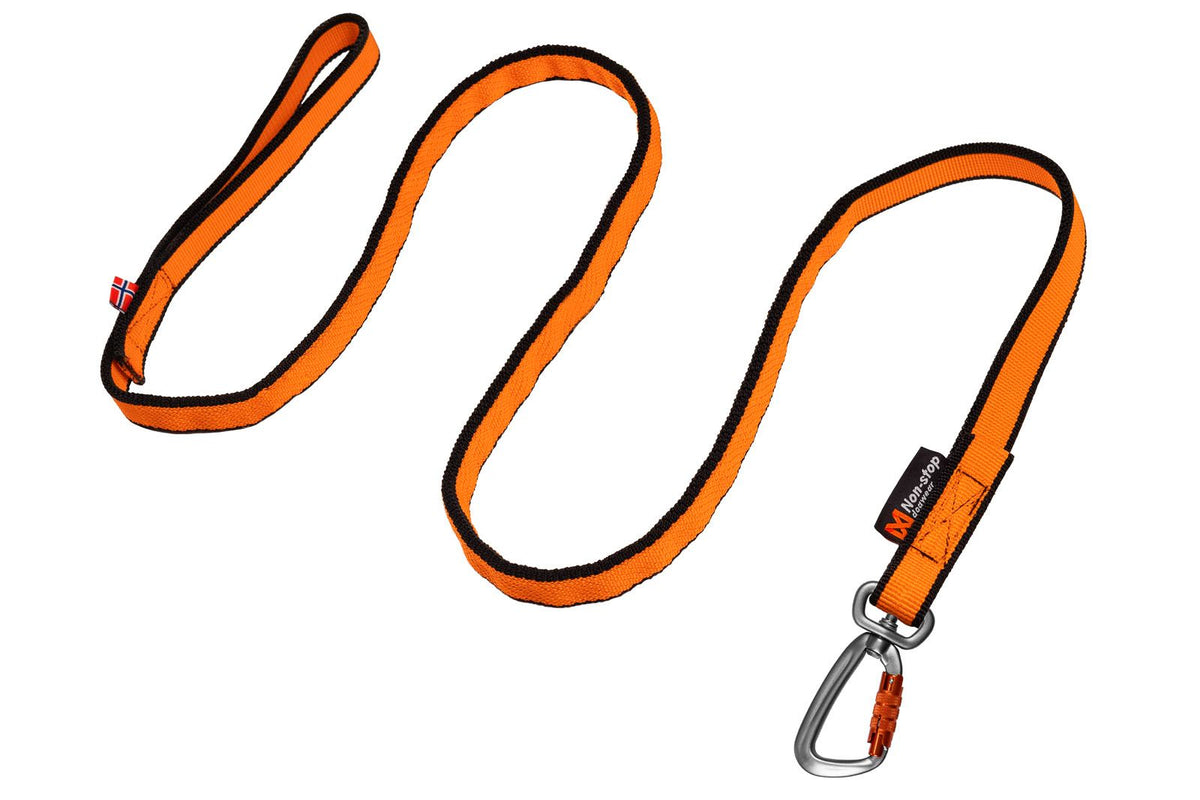 Non-stop Bungee leash