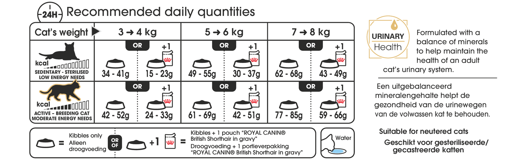 Royal Canin British Shorthair Adult kissalle 10 kg