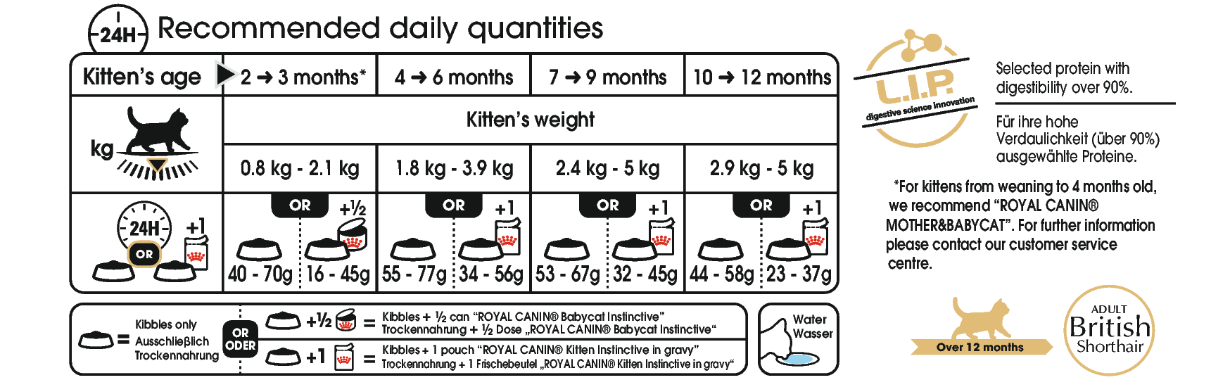 Royal Canin British Shorthair Kitten kissalle