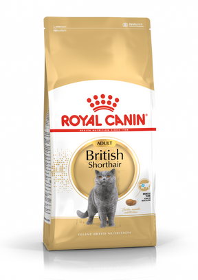 Royal Canin British Shorthair Adult kissalle