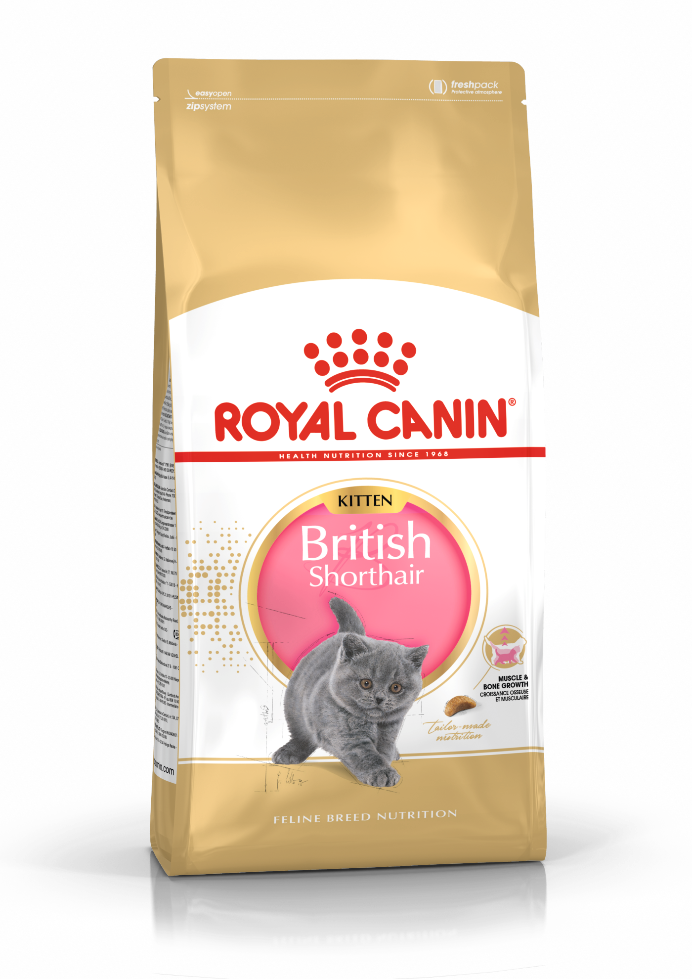 Royal Canin British Shorthair Kitten kissalle