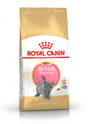 Royal Canin British Shorthair Kitten kissalle