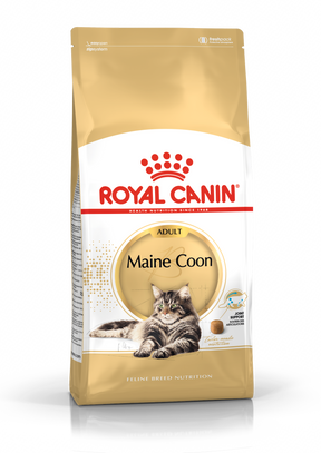 Royal Canin Maine Coon Adult kissalle