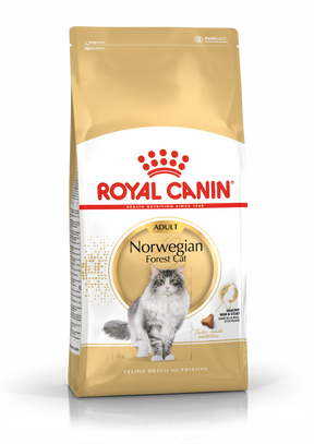 Royal Canin Norwegian Forest Cat kissalle