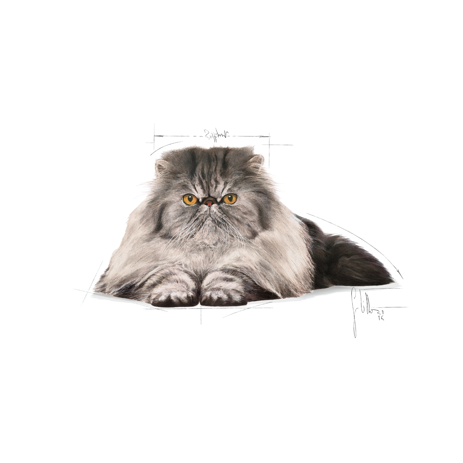 Royal Canin Persian Adult kissalle 400 g