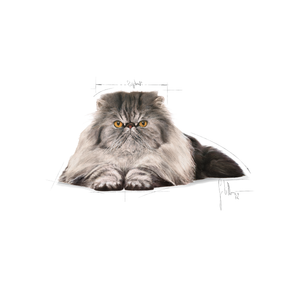Royal Canin Persian Adult kissalle 400 g