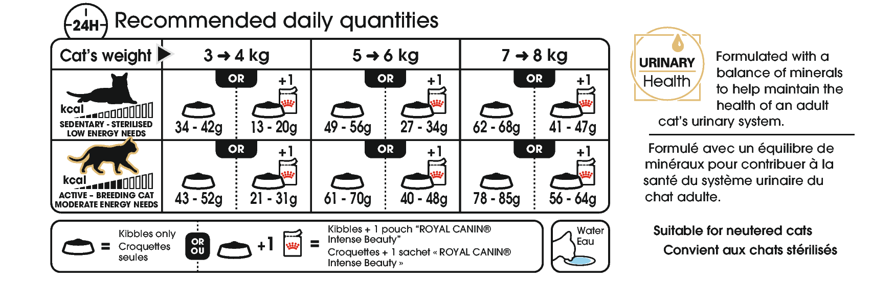Royal Canin Ragdoll Adult kissalle