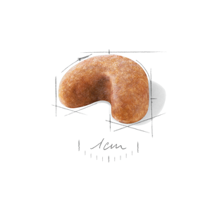 Royal Canin French Bulldog Puppy koiralle 3 kg