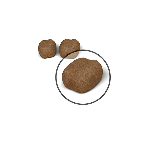 Royal Canin Dental Care kissalle 1,5 kg