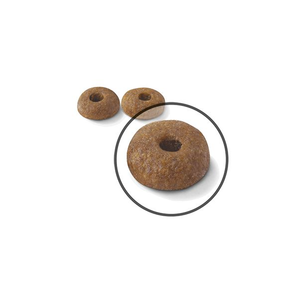 Royal Canin Digestive Care kissalle