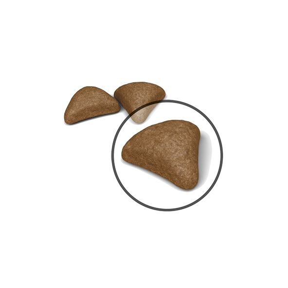 Royal Canin Hairball Care kissalle 10 kg