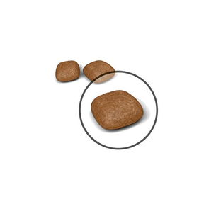 Royal Canin Urinary Care kissalle 10 kg